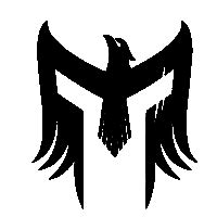 Imperium Gaming: Valorant Team Profile .